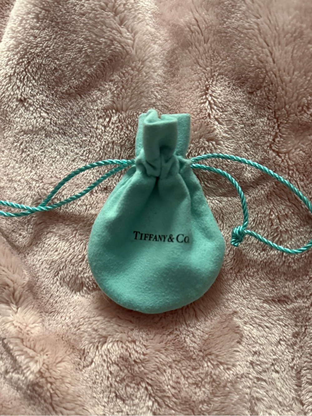 Tiffany & Co. Signature Aqua Drawstring Pouch